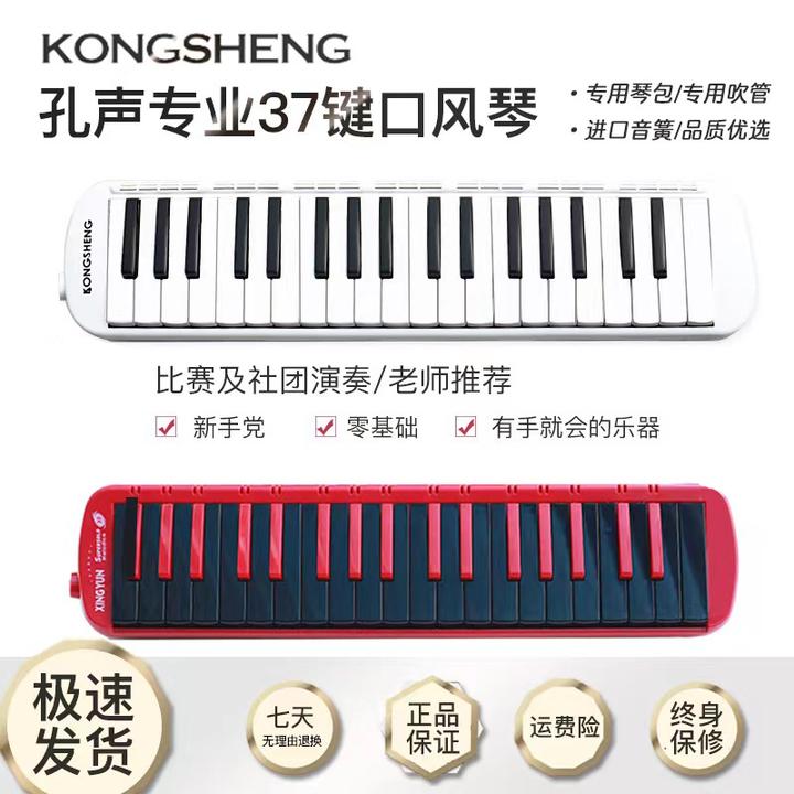 【摇滚鸟】口风琴新品首发 进口音簧37键口风琴专业级 送99教学课程
