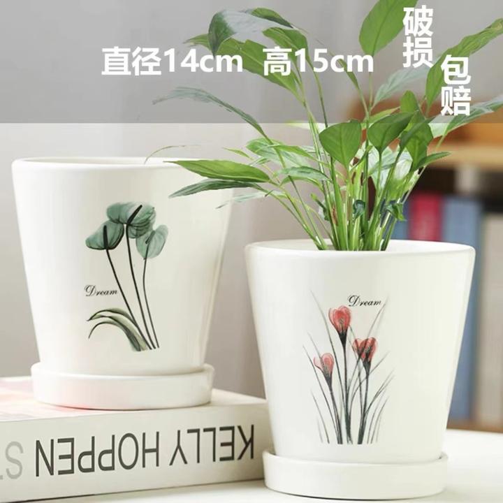 《直播间专享》蝴蝶兰花盆小ins北欧简约创意个性陶瓷带托盘兰花