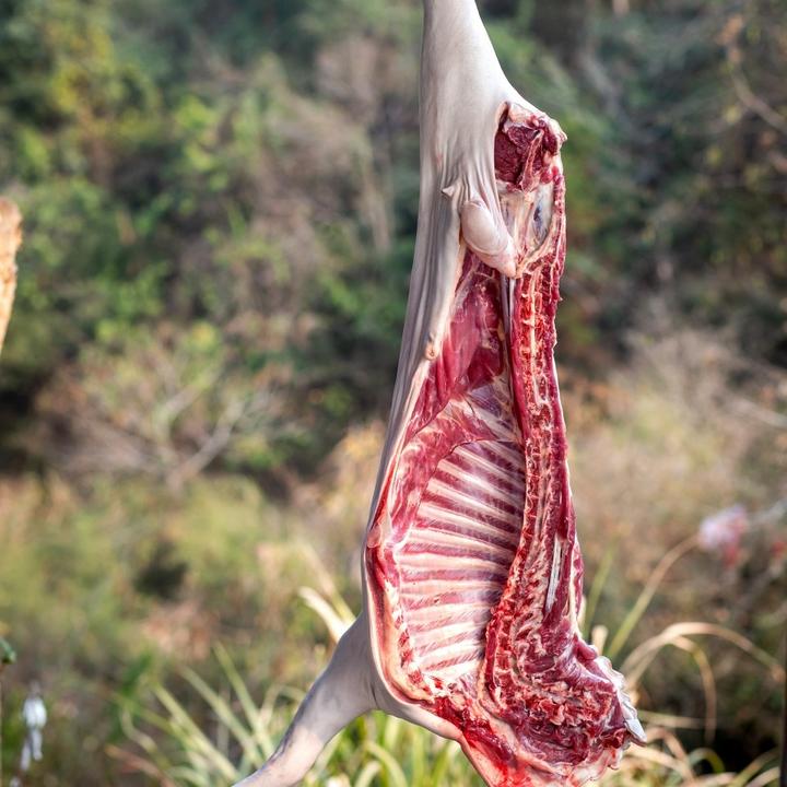 道吾山曾兵黑山羊半边现称（现秤改价-顺丰包邮）