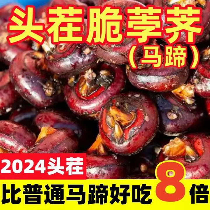 安徽新鲜马蹄荸荠地栗现挖带泥1斤/3斤/5斤多汁当季水果大果清脆
