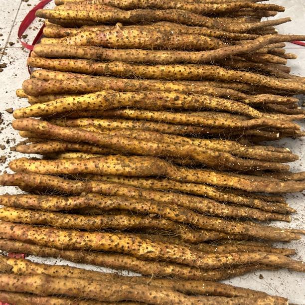 河南焦作垆土山药5斤