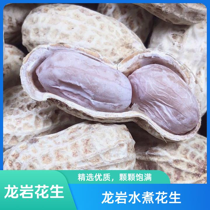 带壳花生龙岩花生水煮白晒咸干花生解馋美味儿时的味道不脆有嚼劲