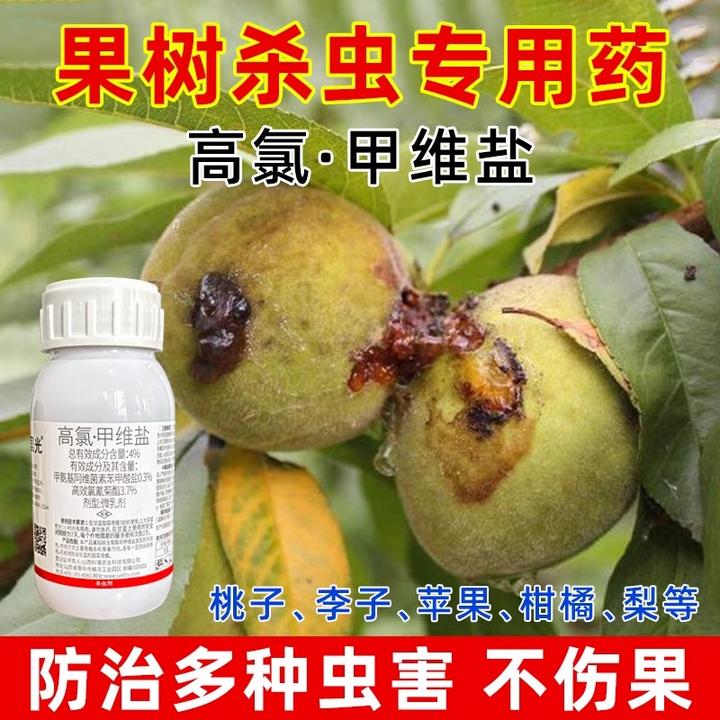 果树杀虫专用药国光高氯甲维盐桃树李子柑橘农药大全杀虫剂旗舰店
