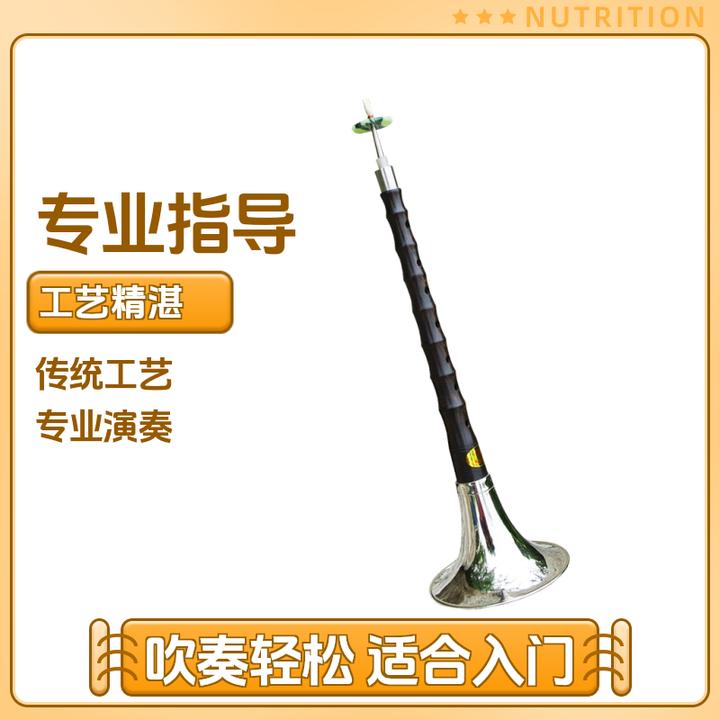 朝凤燕京唢呐乐器全套专业黑檀乌木降b调花梨木初学者d调大中小号