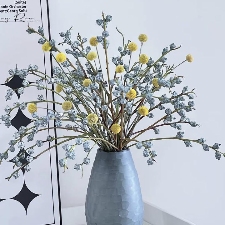 尤加利果甘蔗黄金球干花花束客厅卧室桌面居家氛围感高级可做干花