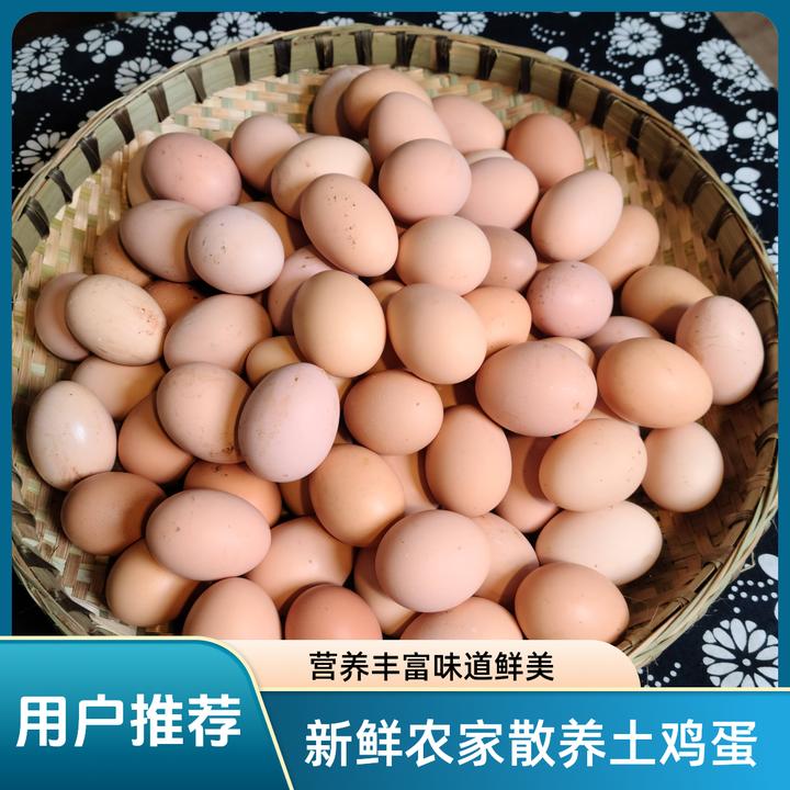 竹林散养吃五谷杂粮跑山鸡鸡蛋