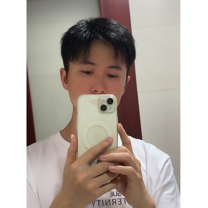 （全递针）男士假发全手织整顶假发全真发秃顶地中海假发男补发片