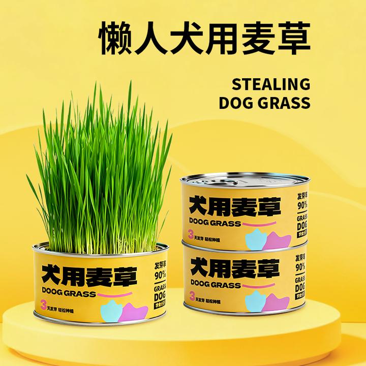 狗草懒人猫草狗吃的草专用化毛零食水培盒小麦草种子泡面杯自种盆