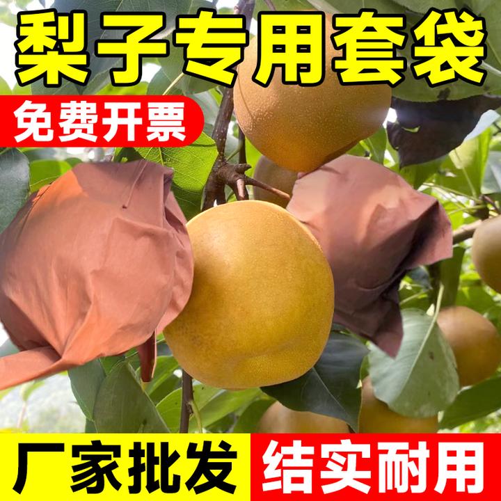 【低价处理】梨子套袋专用袋水果套袋果树防虫黄金梨套袋黄梨袋果袋