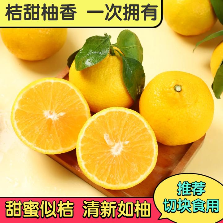 福建甜心桔柚4.5斤-5斤 甜蜜似桔 清新如柚