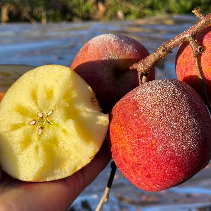 云南糖心丑苹果 自闭症终身托养助力 不打腊不催熟  脆甜多汁