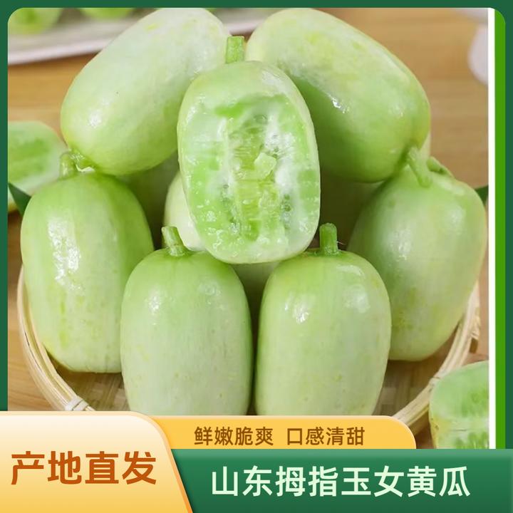 玉女黄瓜山东寿光现摘现发玉女小黄瓜拇指黄瓜产地直发清甜爽脆