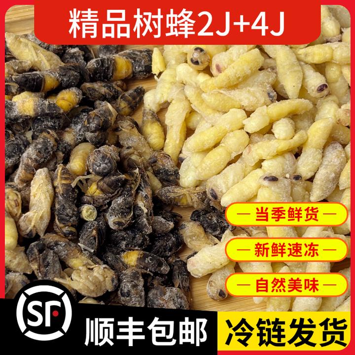 树蜂2+4蜂蛹新鲜速冻蜂蛹今年新货马蜂胡蜂葫芦蜂