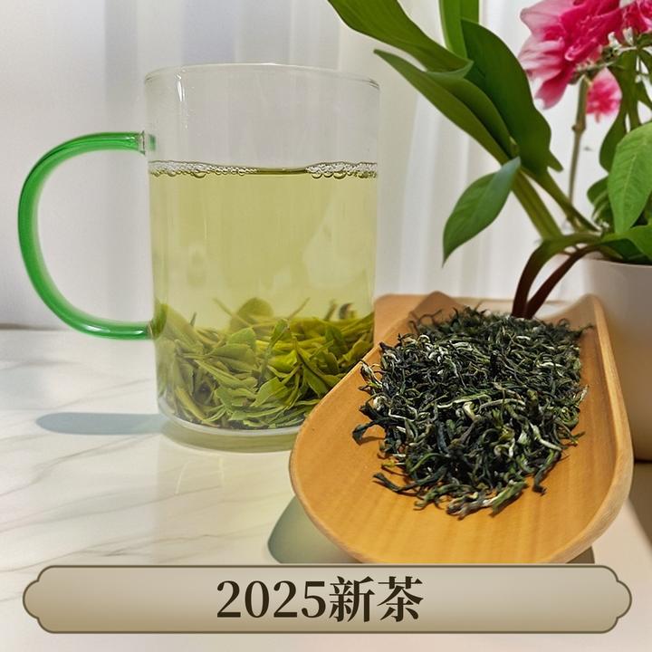【明哥专属】2025年新茶陕南安康高山马泥茶一级毛尖绿色栗香罐装