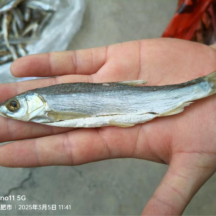 安徽农家特产纯野生餐条风干鱼