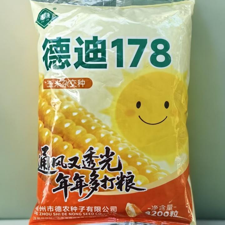 高产抗倒伏好玉米种德迪178