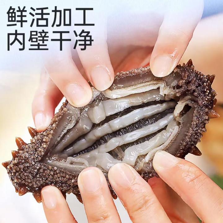【鲜食海参】8A参王 口感Q弹【大连海参】 大连海参辽刺参5-11头