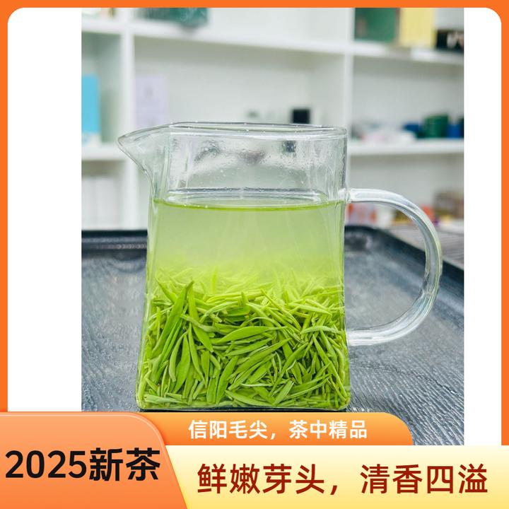 2025新茶信阳毛尖 明前中小芽 鲜爽回甘 兰花香 高端送礼