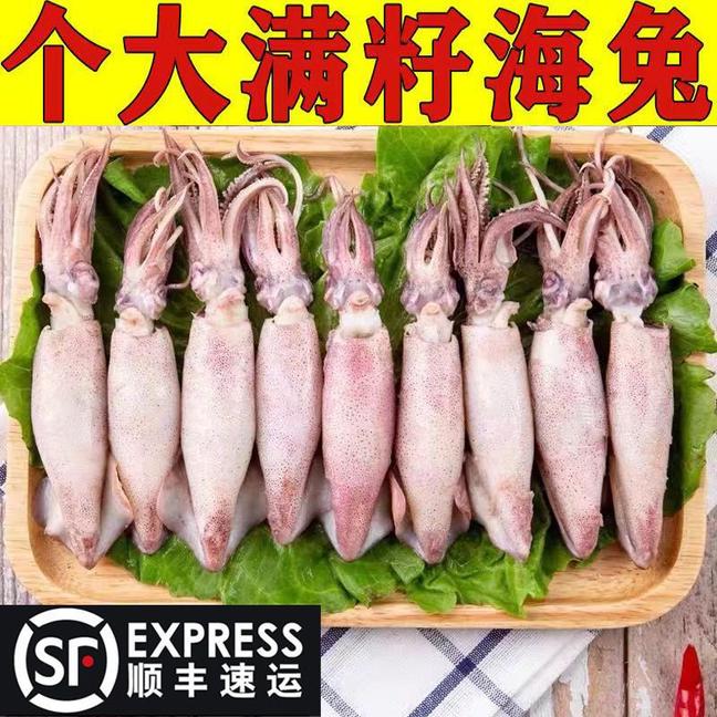 林蓝螺 带籽大海兔笔管鱼鱿鱼仔新鲜海兔带籽/一盒10只/3盒大海兔
