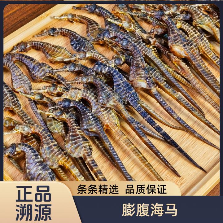 溯源保真蓝标海马生晒足干泡酒煲汤公母配对海龙海海马泡酒专用