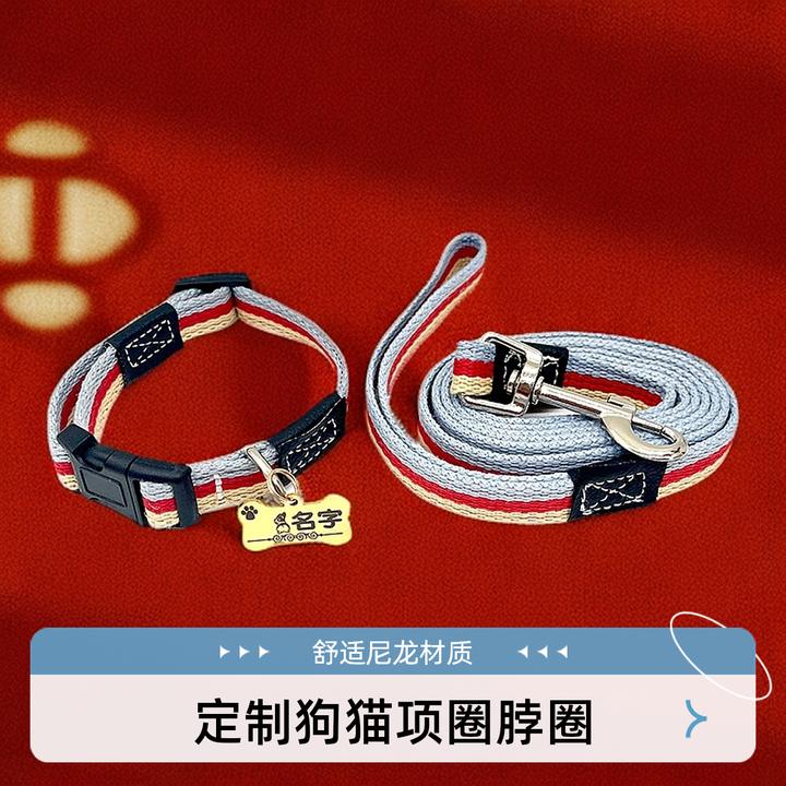宠物定制狗牌防丢牌身份牌定制狗猫项圈脖圈猫咪狗狗项链子牵引绳