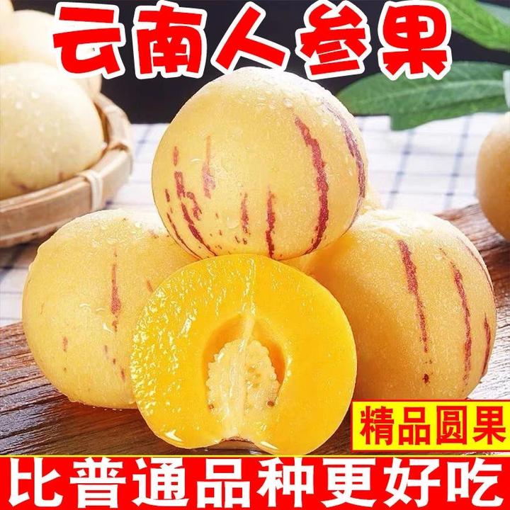 树上熟云南石林人参果水果新鲜孕妇人生果圆果黄肉纯甜多汁宝宝果