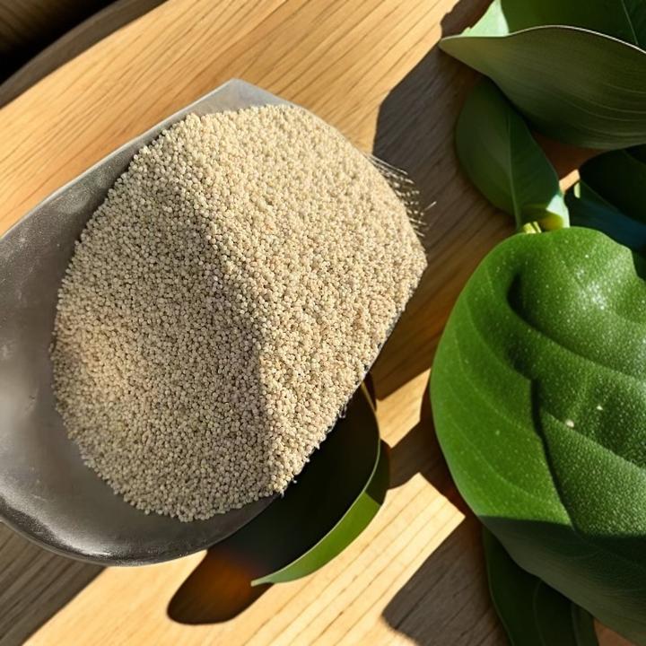 甘肃会宁良谷米新货旱地粗粮五谷杂粮粥农家特产月子小米粥