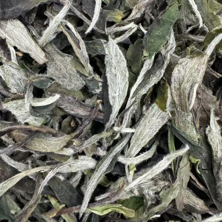 福鼎白茶散茶茶叶 高山茶
