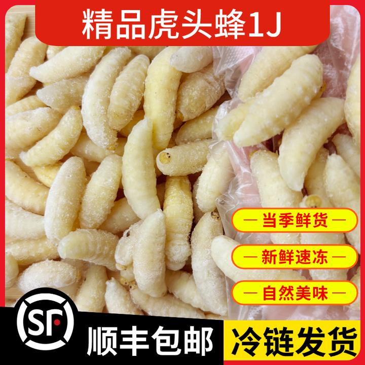 地蜂土蜂1蜂蛹新鲜冰冻马蜂黑尾蜂出售鲜活速冻马蜂蛹