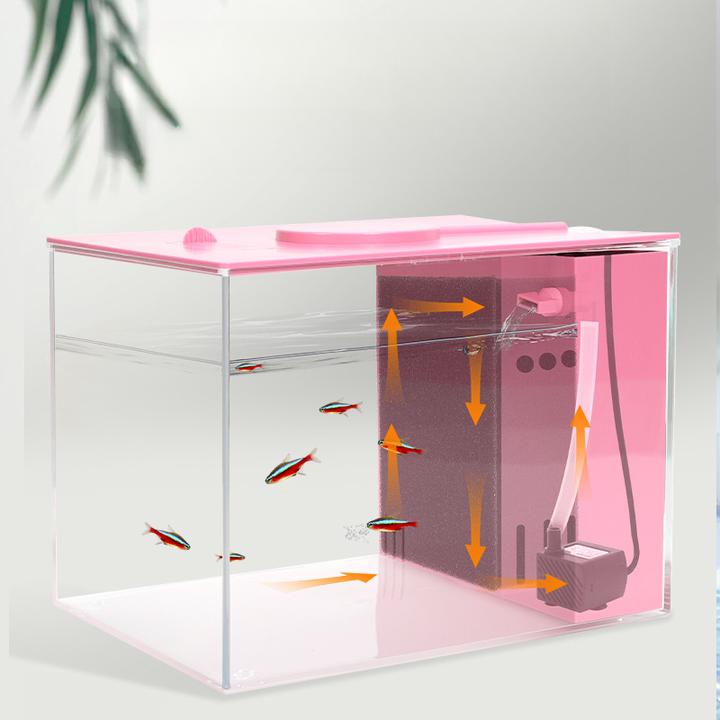 桌面小鱼缸爬宠饲养箱雨林生态造景缸宠物角蛙蜘蛛蜥蜴守宫养殖盒