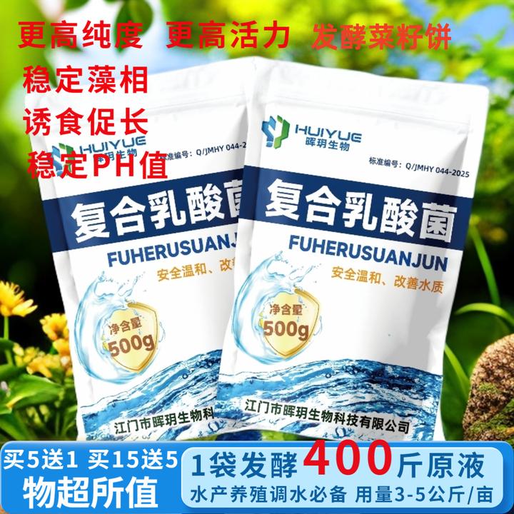 复合乳酸菌菌种发酵用于水产养殖净水调水稳定PH抑制水浓水绿蓝藻