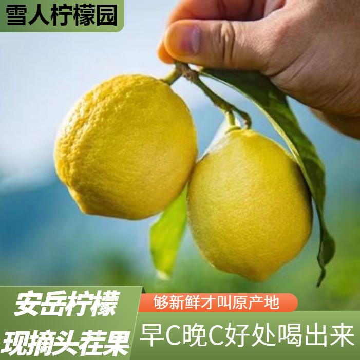 【安岳柠檬尝鲜装】安岳黄柠檬 小果 60-80克独立包装 酸酸多汁新鲜