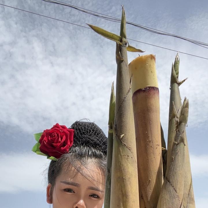 贵州黔东南深山野生当季现挖水竹笋
