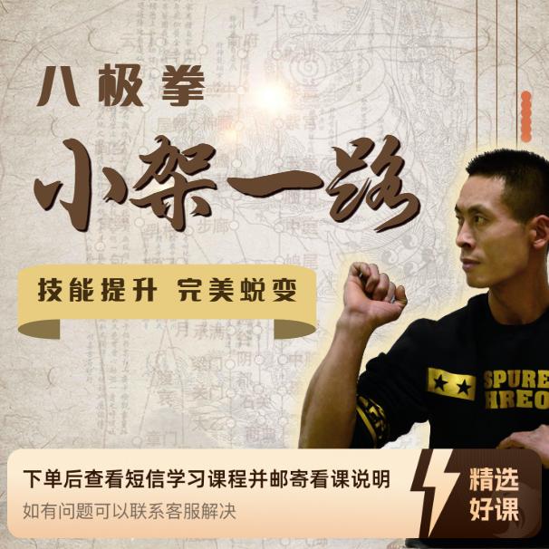 【神肘太保】八极拳小架一路精讲（留意短信解锁课程）