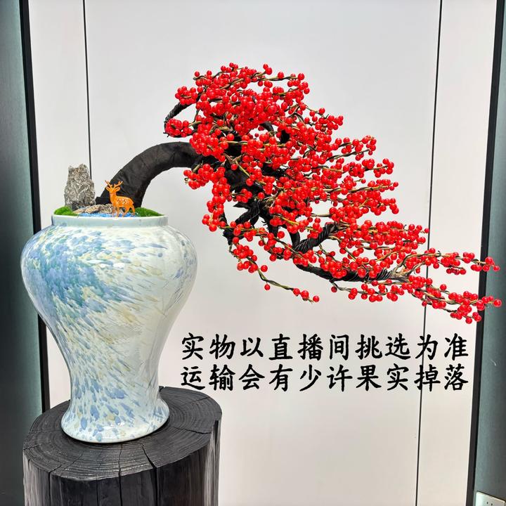 （运输中掉点果建议的慎拍）北美冬青带果室内外盆栽四季好养年宵花