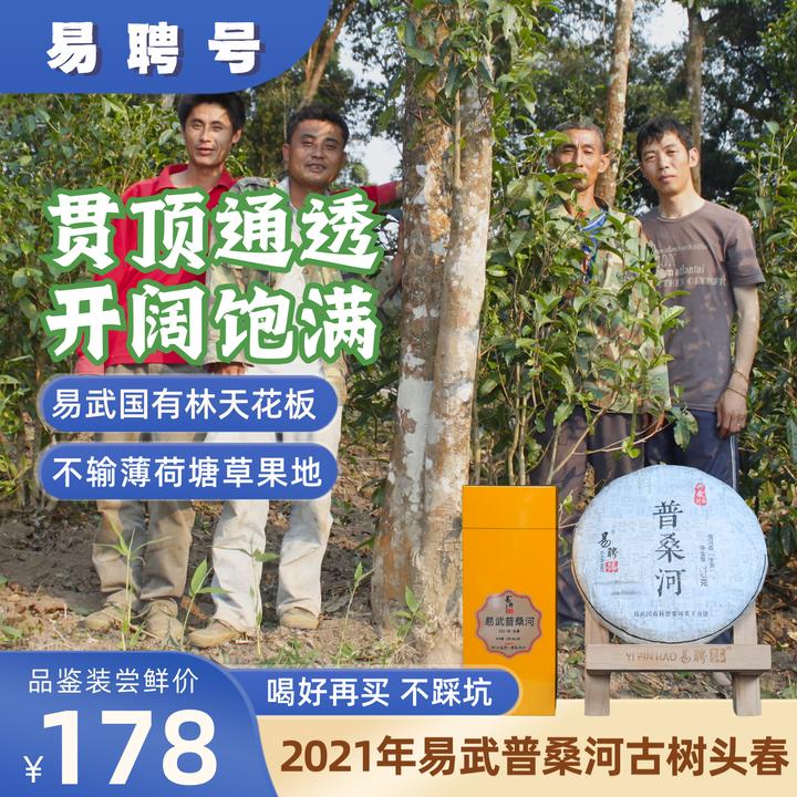 [新粉品鉴装，喝好再买不踩坑]16克2021年易武普桑河古树头春 生茶