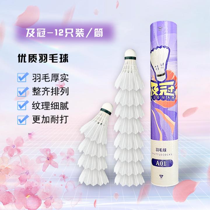 羽毛球A01室内外娱乐健身源头工厂直销