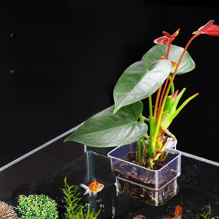 鱼缸透明水培定植篮壁挂式水草种植杯鱼缸绿植造景装饰架鱼缸挂篮