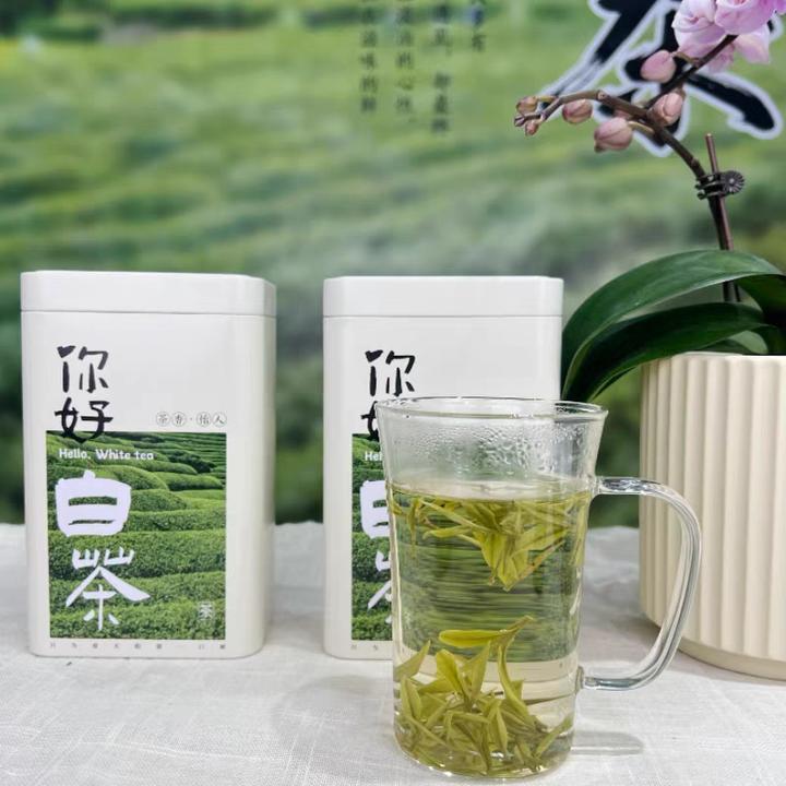 【明前采摘】安吉白茶2025新茶上市正宗春茶明前采摘正宗安吉白茶