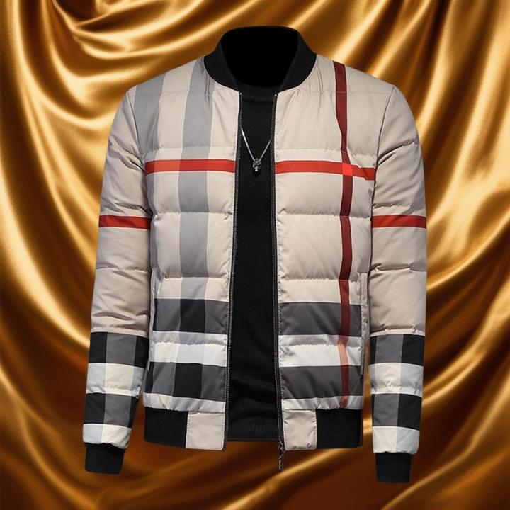 维斯克纳格子羽绒服男士青年立领韩版修身加厚白鸭绒大码休闲外套