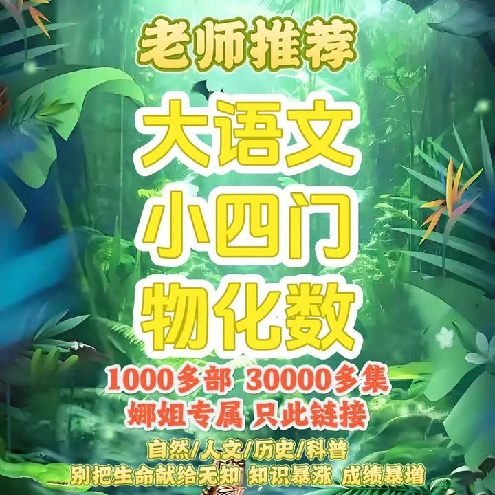 【娜姐专属福利】高分小初高小四门纪录片早教逻辑训练思维教具