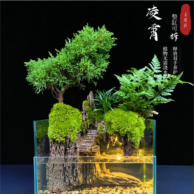 【不二】【凌霄25*16*18】可拆带内置灯绿植苔藓山水景观雾化流水养鱼