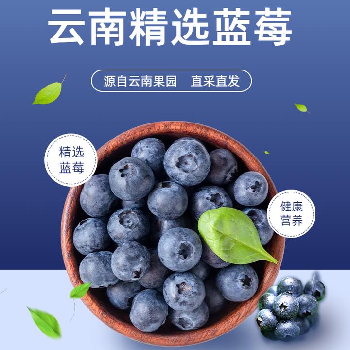 云南高山蓝莓鲜果果园现采现摘酸甜可口当季新鲜水果京东包邮