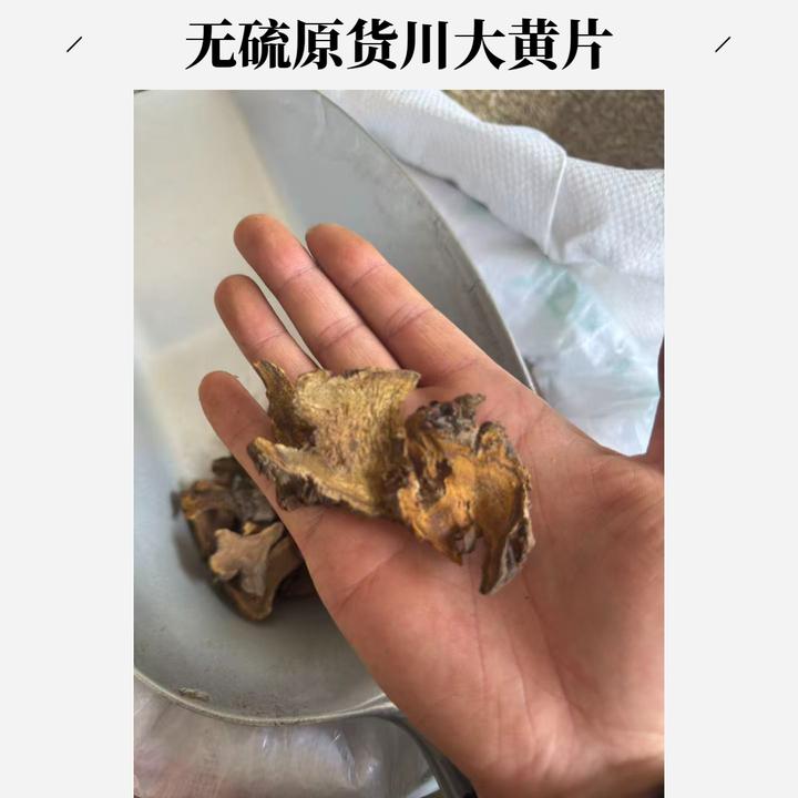 安国中药材市场批发大黄川大黄片