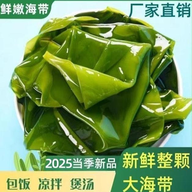 大连海带鲜嫩盐渍整颗海带 带箱5斤 少盐