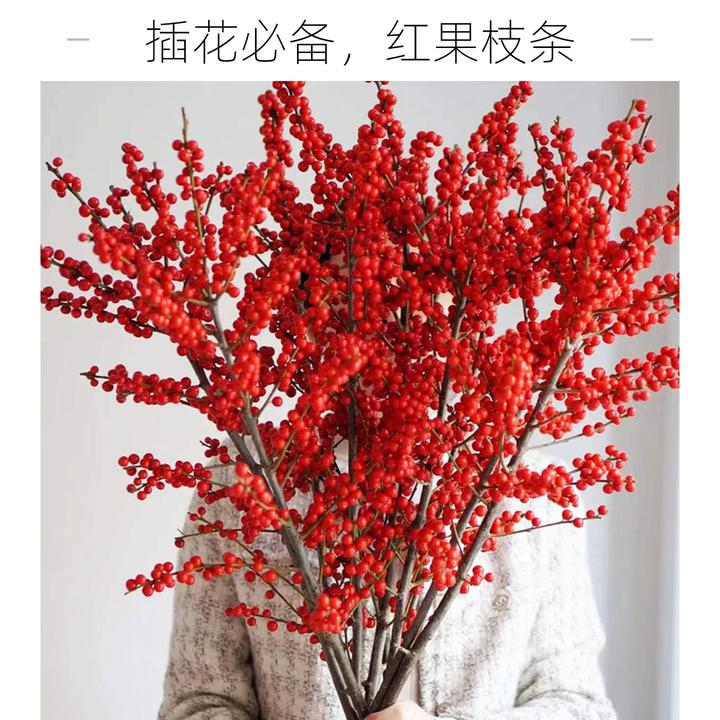 北美冬青红果鲜切冬青鲜枝昆明基地直发冬青红果发财果客厅花束