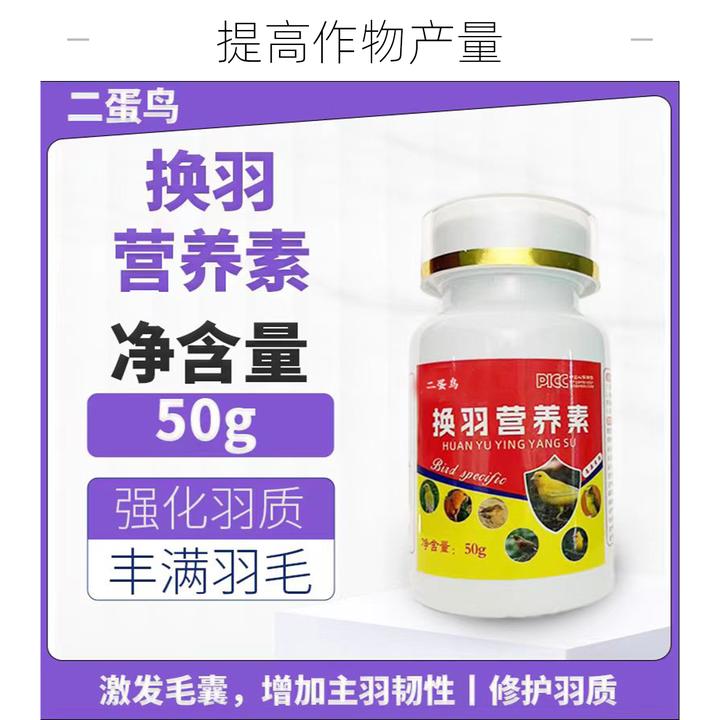 换羽营养素有助于羽毛生长补充营养