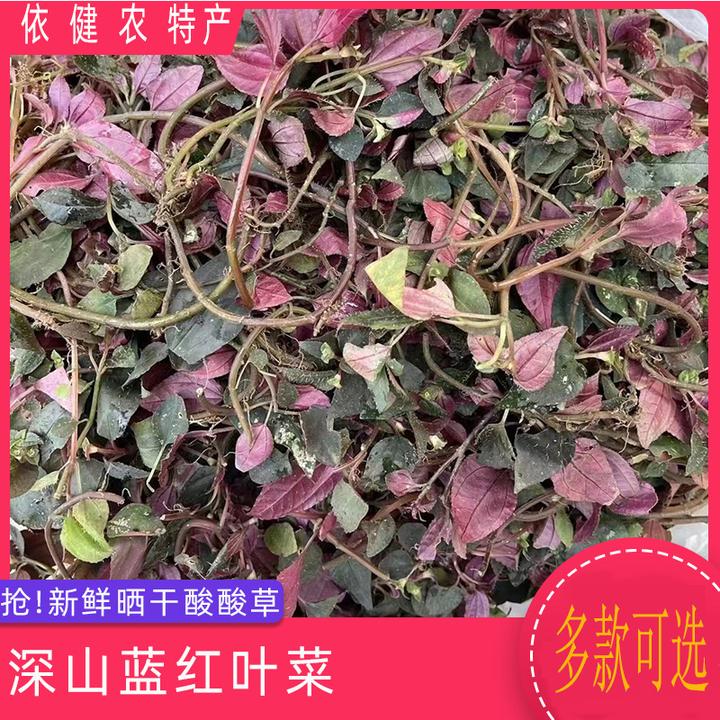 广东农产品特产深山蓝红叶菜酸酸草普通手工打包【枫柜儿】100g包邮
