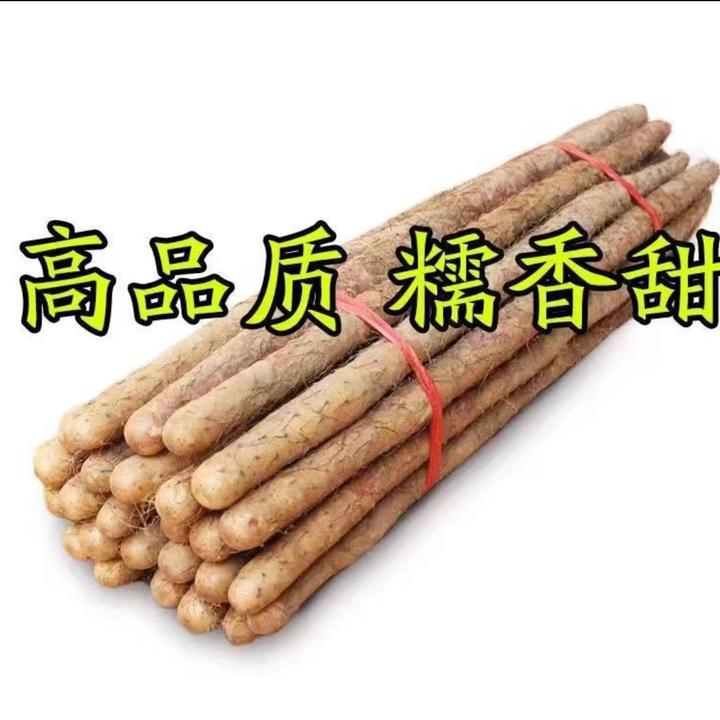 新鲜正宗铁棍山药粉糯香甜现挖五斤实惠装60-80cm长度果王