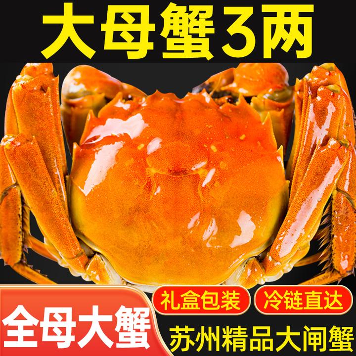 【活蟹】苏州精品大闸蟹全母蟹3.1-2.8两8只加送2只礼盒装鲜活